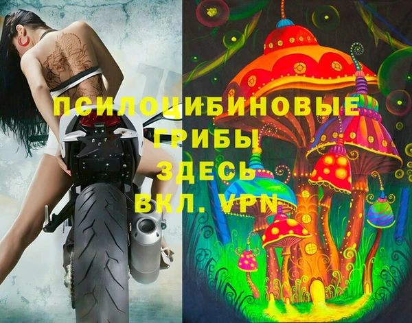 ALPHA PVP Алзамай