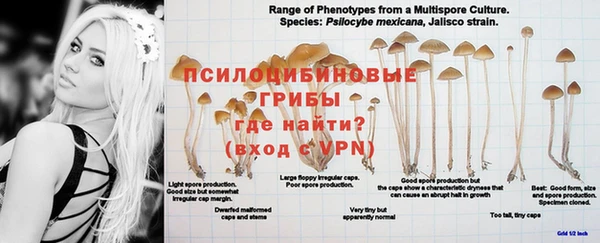 ALPHA PVP Алзамай