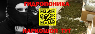 шишки Наро-Фоминск