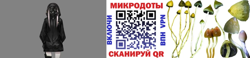 Галлюциногенные грибы Magic Shrooms где можно купить Тольятти