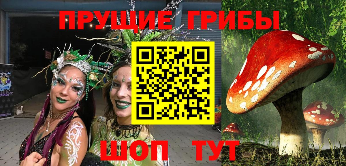 закладка  Галлюциногенные грибы Psilocybe  Тольятти  Вход с VPN  Псилоцибиновые грибы прущие грибы 